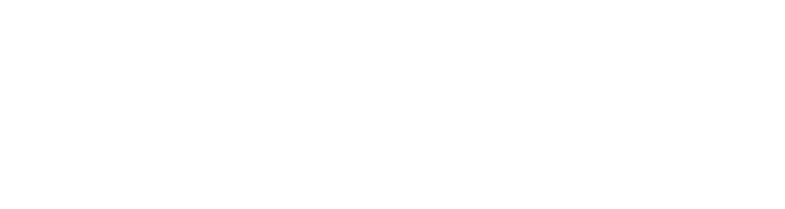 Pegasus Agency - Web Development in Egypt and Marketing Agency in Egypt Kuwait Iraq Saudia Arabia Lebanon